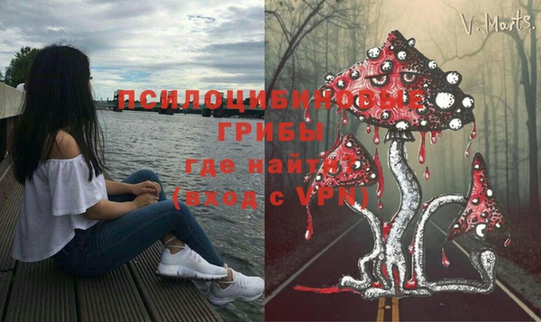 крисы Аркадак