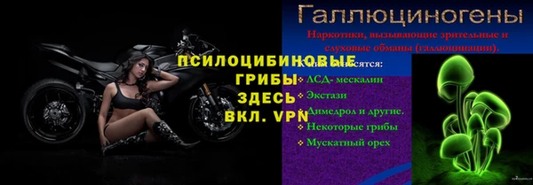 крисы Аркадак