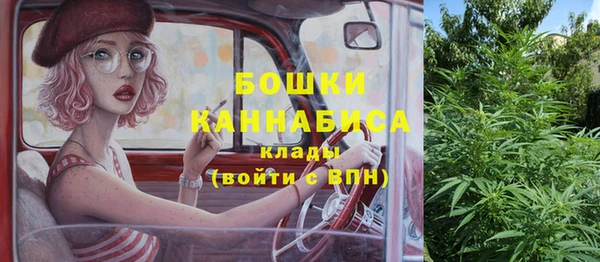крисы Аркадак