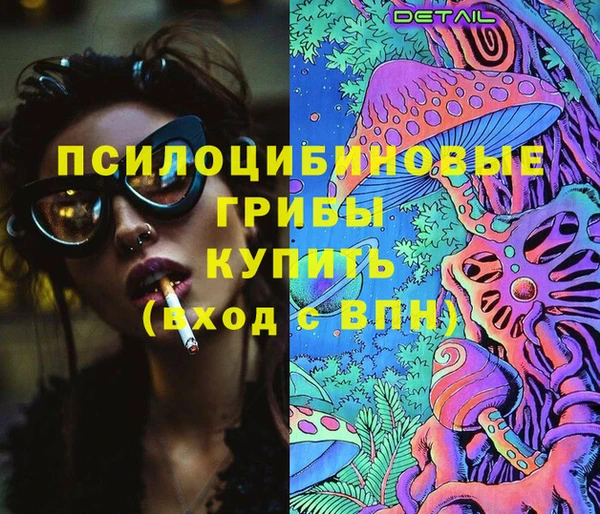 крисы Аркадак