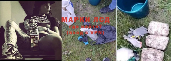 крисы Аркадак