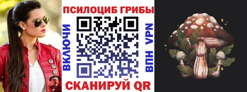 Галлюциногенные грибы Magic Shrooms  blacksprut как войти  Первомайск 