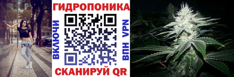 МЕГА ONION  где купить наркоту  Первомайск  Конопля семена 